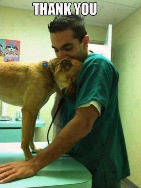 Bildschirmarbeiter - Picdump 12.07.2013