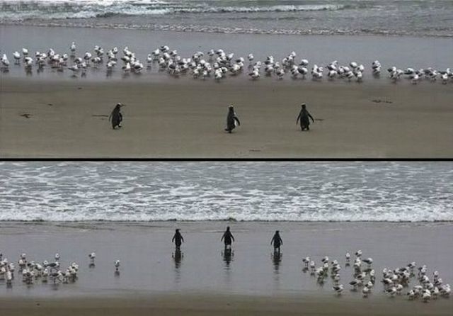 Bildschirmarbeiter - Picdump 12.07.2013