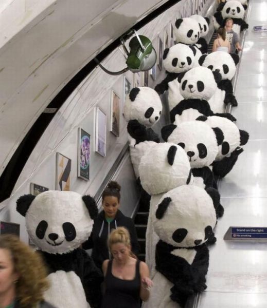 Bildschirmarbeiter - Picdump 12.07.2013