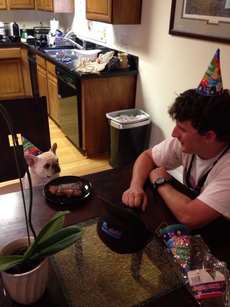 Bildschirmarbeiter - Picdump 12.07.2013