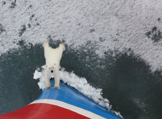 Bildschirmarbeiter - Picdump 12.07.2013