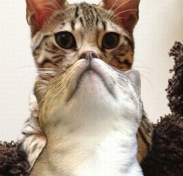 Bildschirmarbeiter - Picdump 12.07.2013