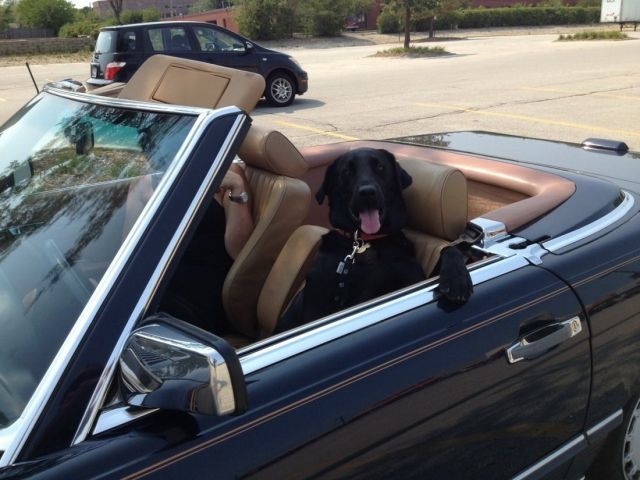 Bildschirmarbeiter - Picdump 12.07.2013