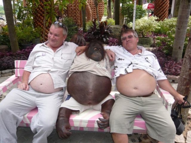 Bildschirmarbeiter - Picdump 12.07.2013