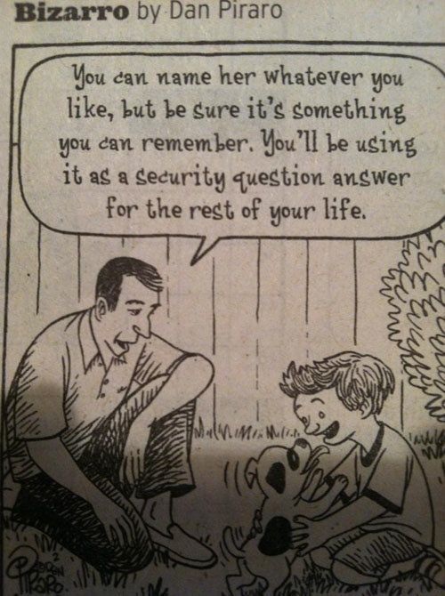 Bildschirmarbeiter - Picdump 12.07.2013