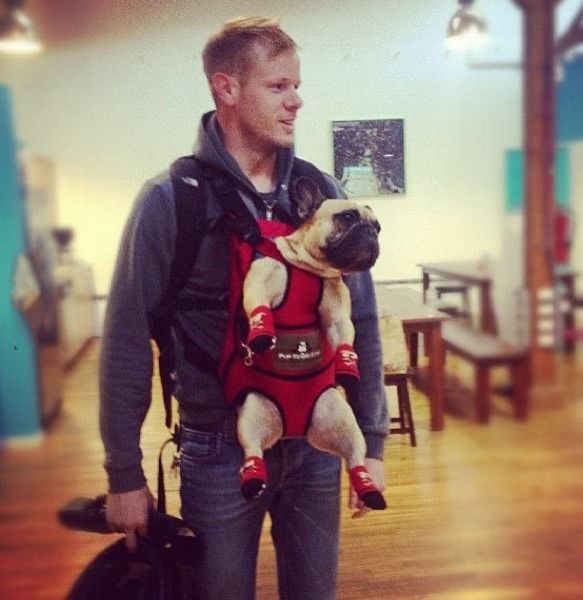 Bildschirmarbeiter - Picdump 12.07.2013