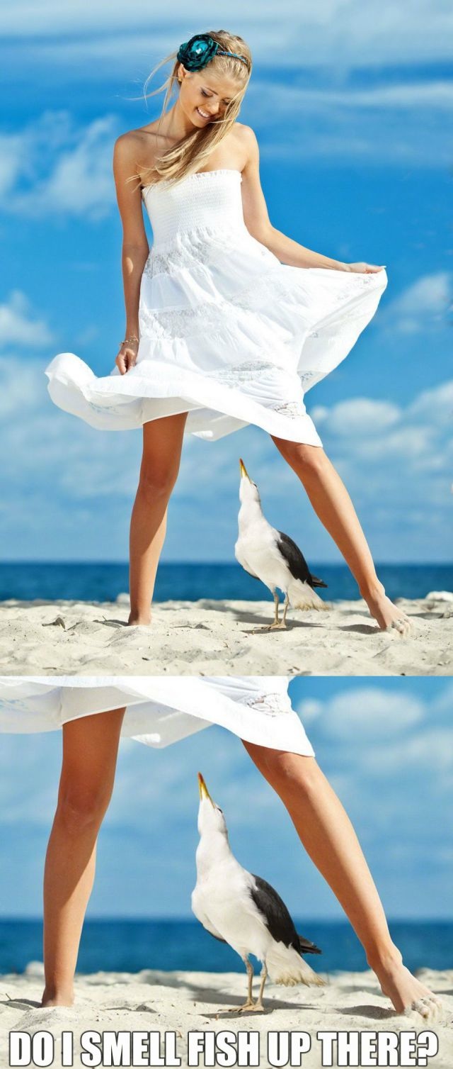 Bildschirmarbeiter - Picdump 12.07.2013