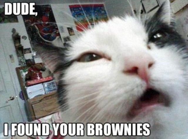 Bildschirmarbeiter - Picdump 12.07.2013