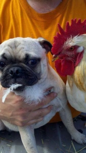 Bildschirmarbeiter - Picdump 19.07.2013