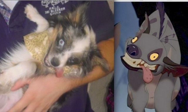 Bildschirmarbeiter - Picdump 19.07.2013