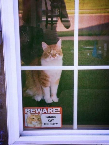 Bildschirmarbeiter - Picdump 19.07.2013