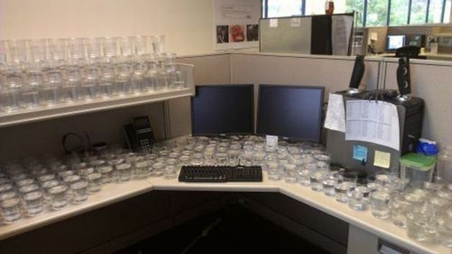 Bildschirmarbeiter - Picdump 19.07.2013