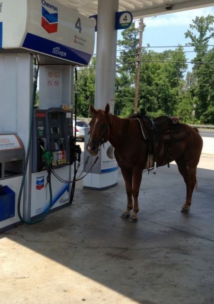 Bildschirmarbeiter - Picdump 19.07.2013