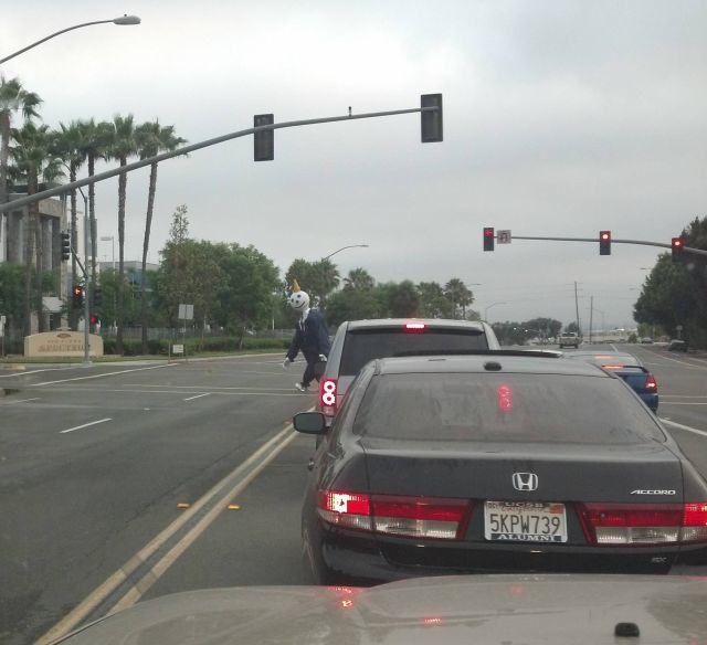 Bildschirmarbeiter - Picdump 19.07.2013