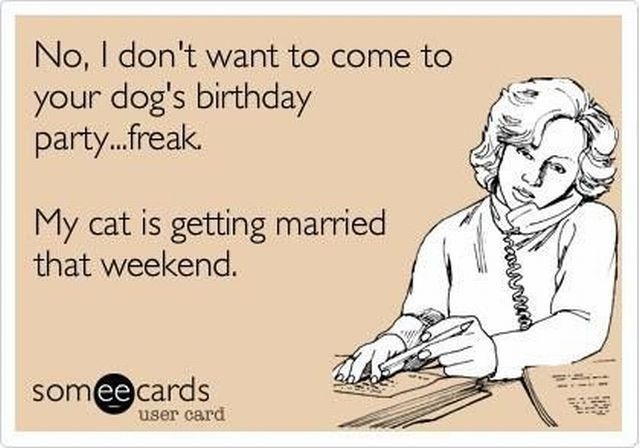 Bildschirmarbeiter - Picdump 19.07.2013