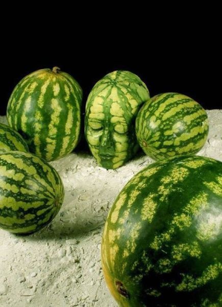 Bildschirmarbeiter - Picdump 19.07.2013