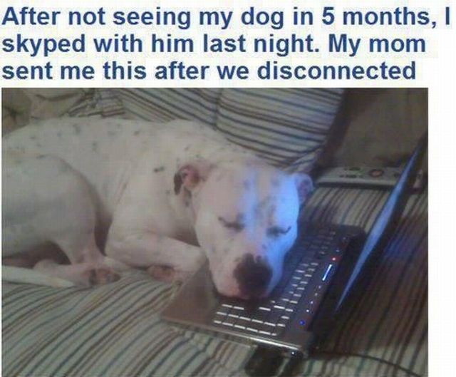 Bildschirmarbeiter - Picdump 19.07.2013