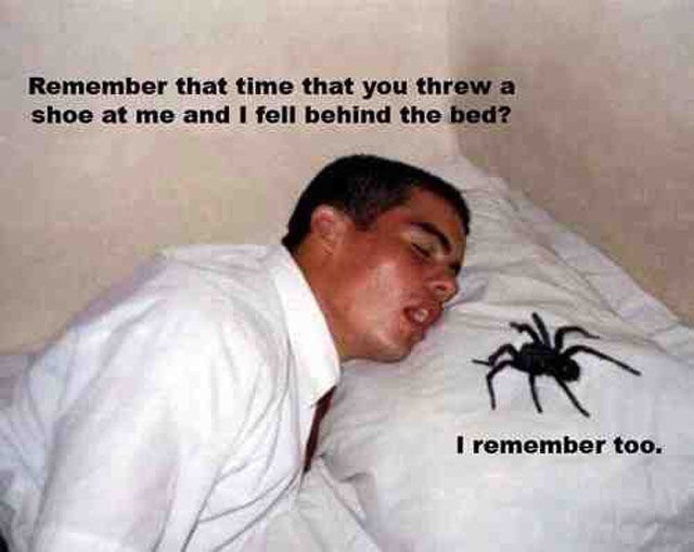 Bildschirmarbeiter - Picdump 19.07.2013