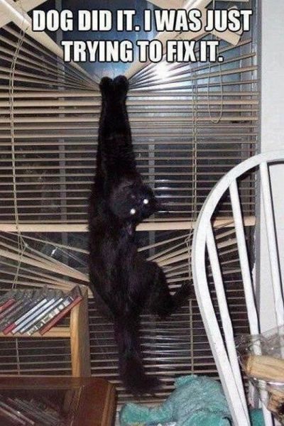 Bildschirmarbeiter - Picdump 19.07.2013