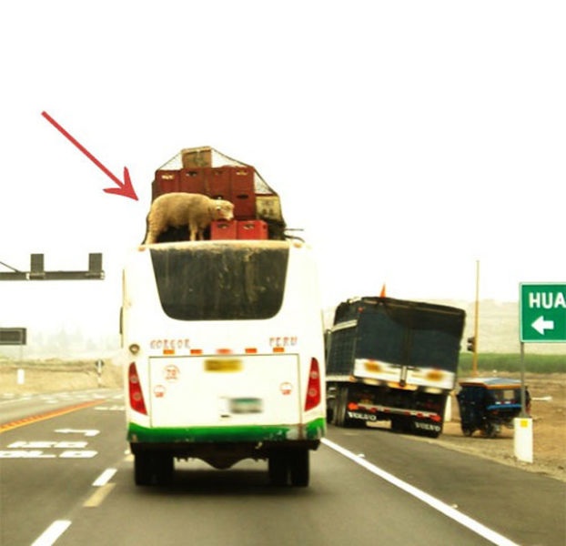 Bildschirmarbeiter - Picdump 19.07.2013