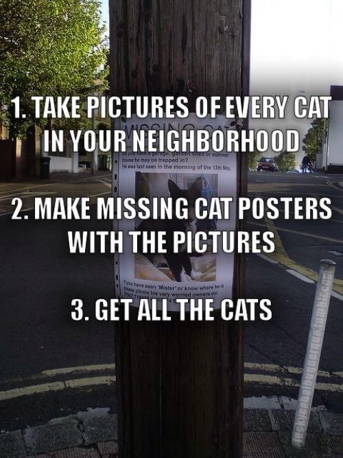 Bildschirmarbeiter - Picdump 19.07.2013