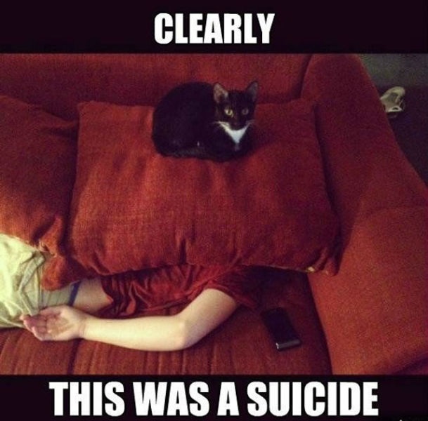 Bildschirmarbeiter - Picdump 19.07.2013