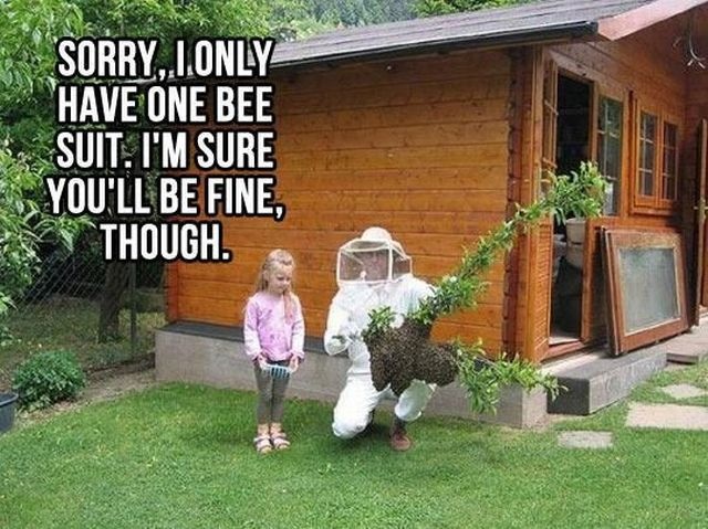 Bildschirmarbeiter - Picdump 19.07.2013