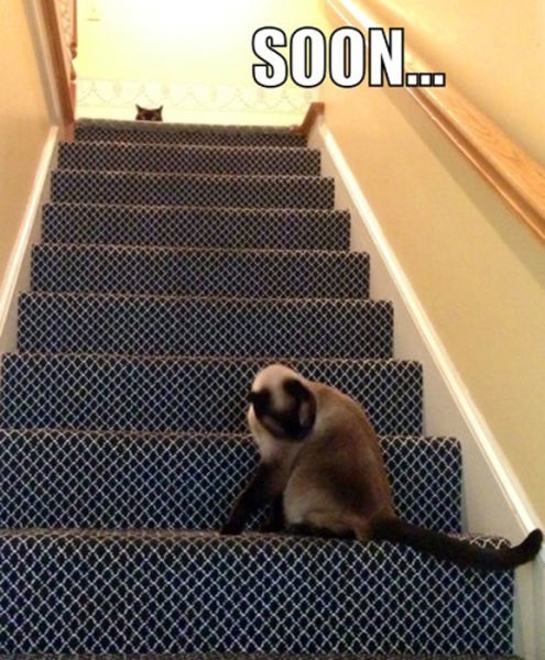 Bildschirmarbeiter - Picdump 19.07.2013