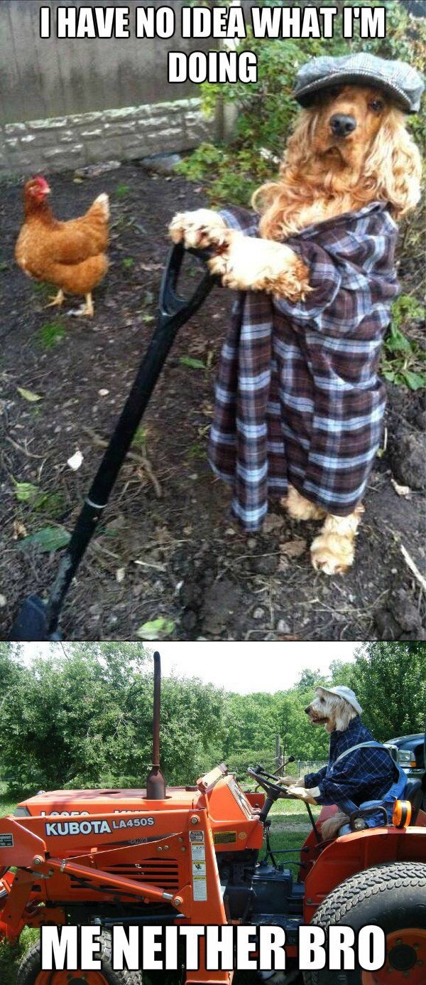 Bildschirmarbeiter - Picdump 19.07.2013