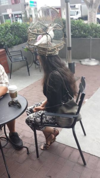 Bildschirmarbeiter - Picdump 26.07.2013