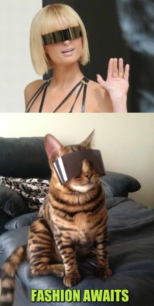 Bildschirmarbeiter - Picdump 02.08.2013