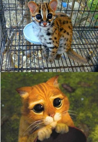 Bildschirmarbeiter - Picdump 02.08.2013