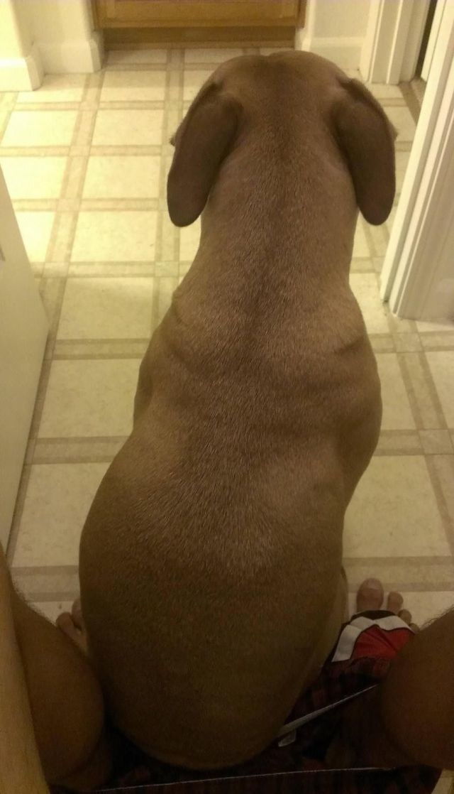 Bildschirmarbeiter - Picdump 02.08.2013