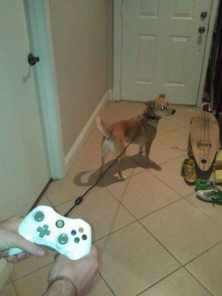 Bildschirmarbeiter - Picdump 03.08.2013