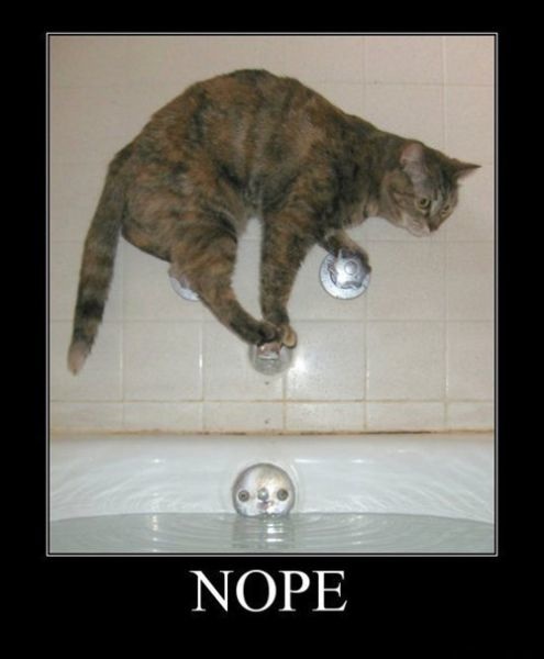 Bildschirmarbeiter - Picdump 09.08.2013