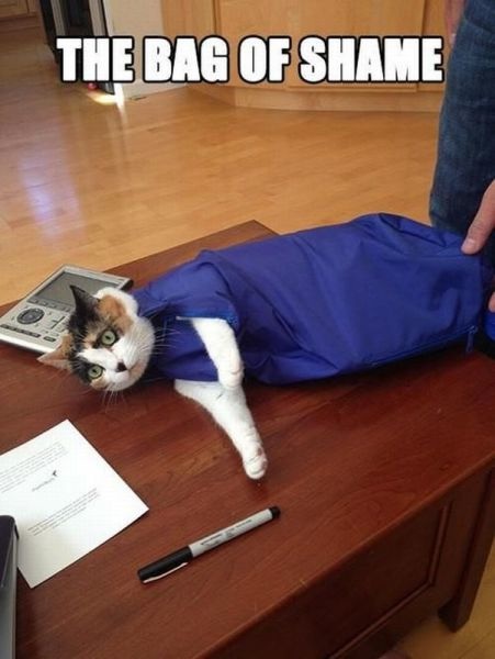 Bildschirmarbeiter - Picdump 09.08.2013