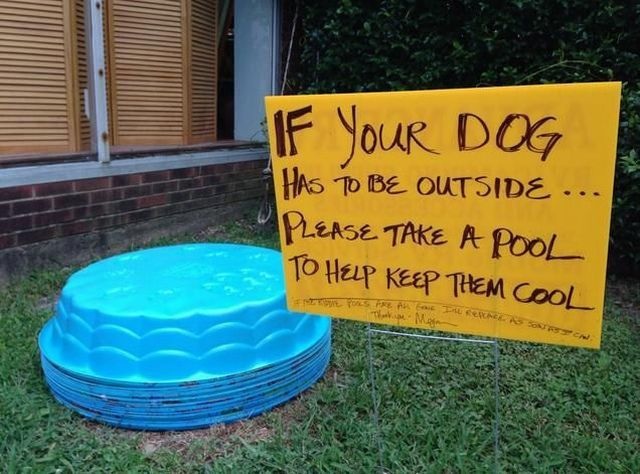 Bildschirmarbeiter - Picdump 09.08.2013