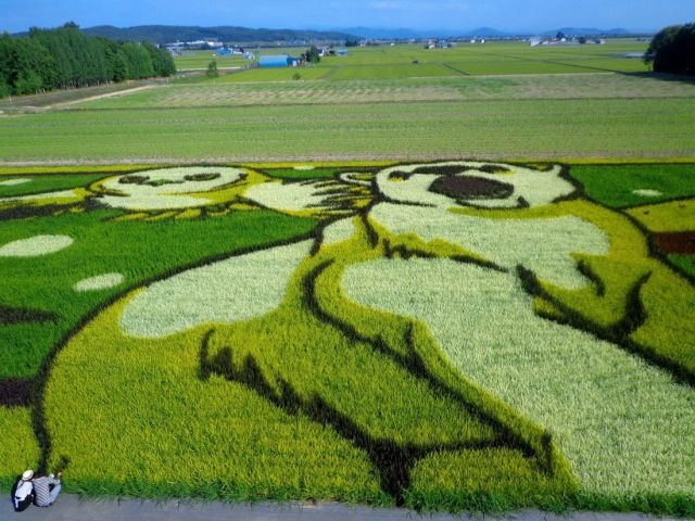 Bildschirmarbeiter - Picdump 09.08.2013