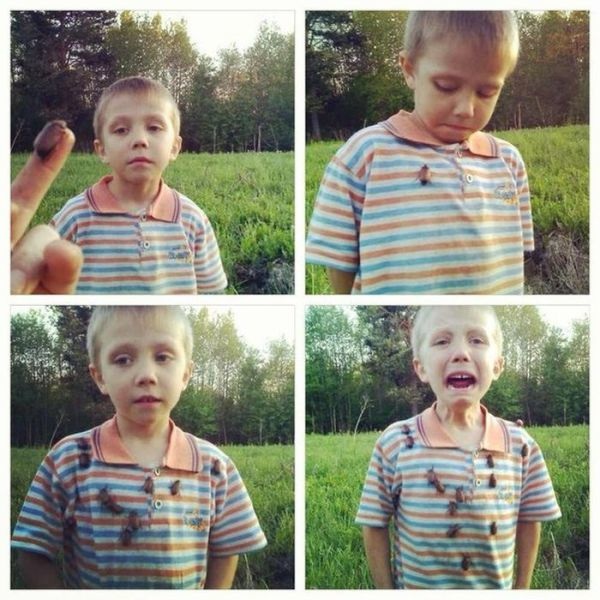 Bildschirmarbeiter - Picdump 09.08.2013