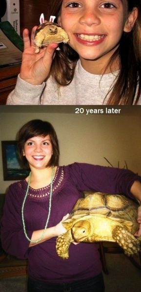 Bildschirmarbeiter - Picdump 16.08.2013