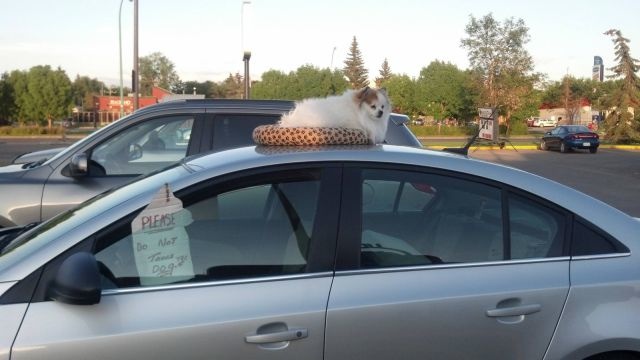 Bildschirmarbeiter - Picdump 16.08.2013