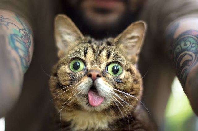 Bildschirmarbeiter - Picdump 16.08.2013