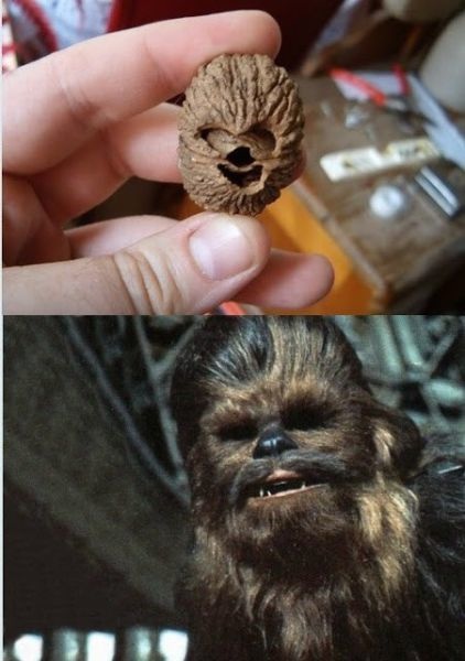 Bildschirmarbeiter - Picdump 16.08.2013