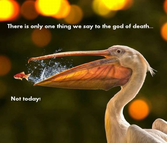 Bildschirmarbeiter - Picdump 16.08.2013