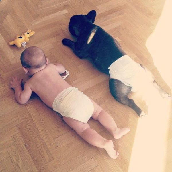 Bildschirmarbeiter - Picdump 16.08.2013