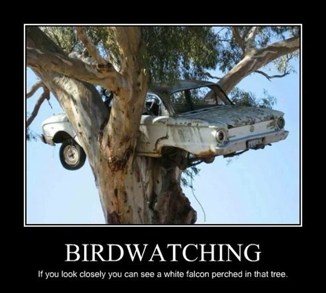 Bildschirmarbeiter - Picdump 16.08.2013