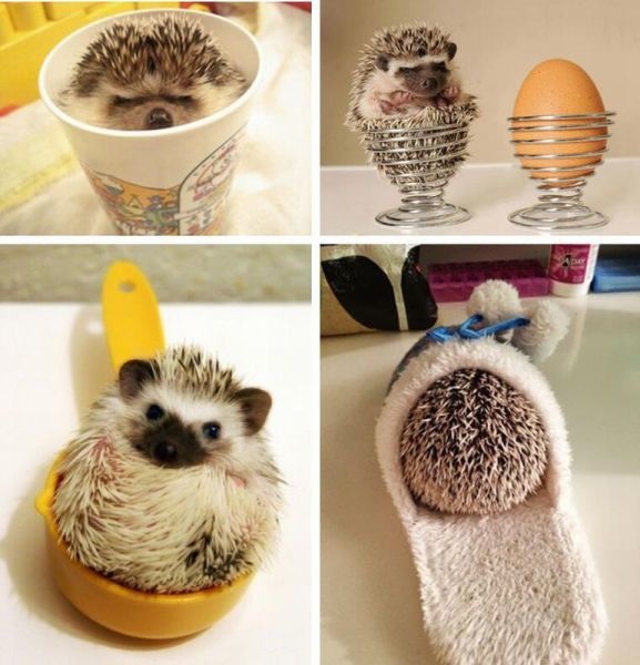 Bildschirmarbeiter - Picdump 16.08.2013