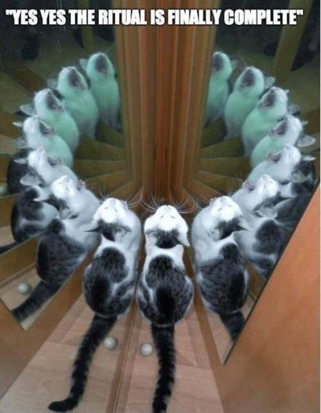 Bildschirmarbeiter - Picdump 16.08.2013