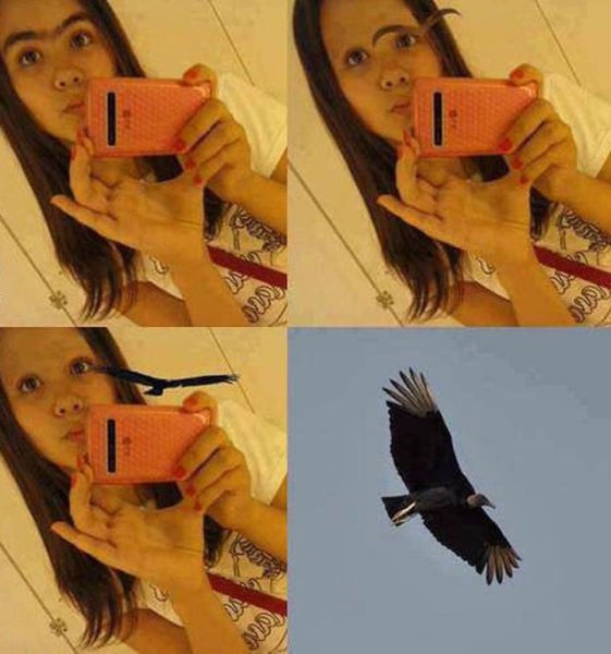 Bildschirmarbeiter - Picdump 16.08.2013