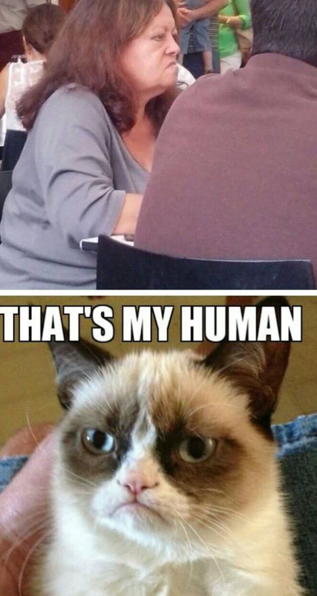 Bildschirmarbeiter - Picdump 16.08.2013